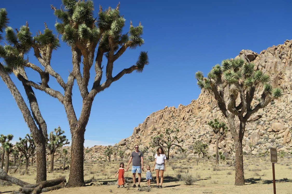 OUR TRAVELS ~ CALIFORNIA BY RV