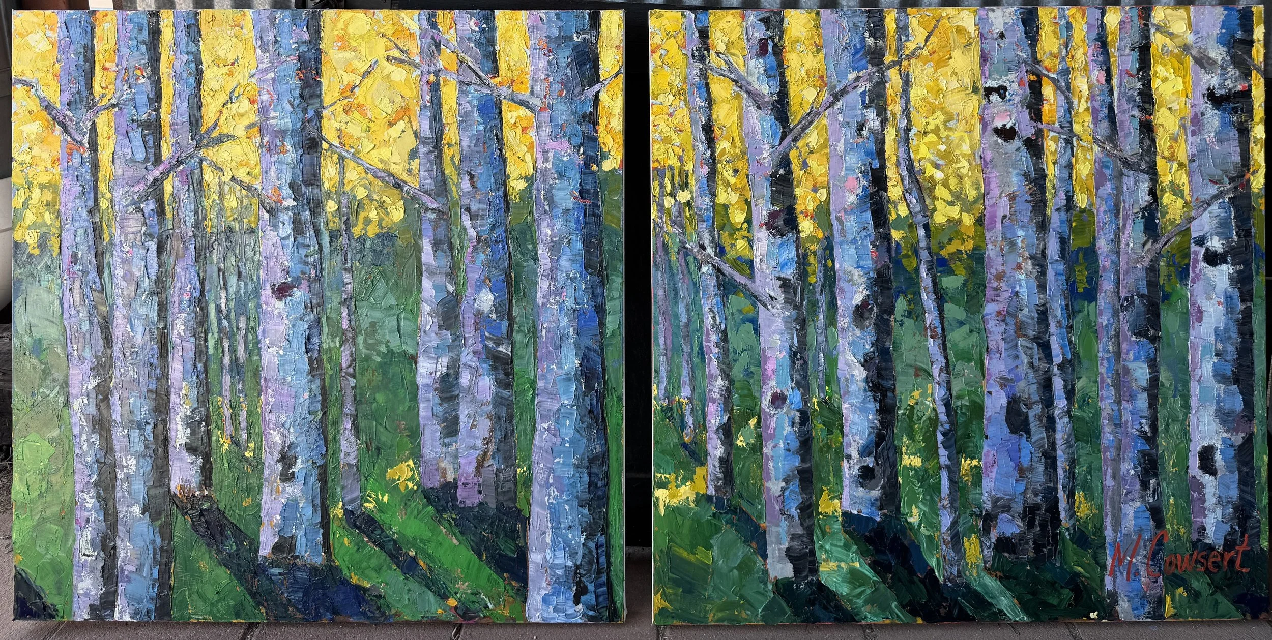 Rocky Mountain High 3.jpeg