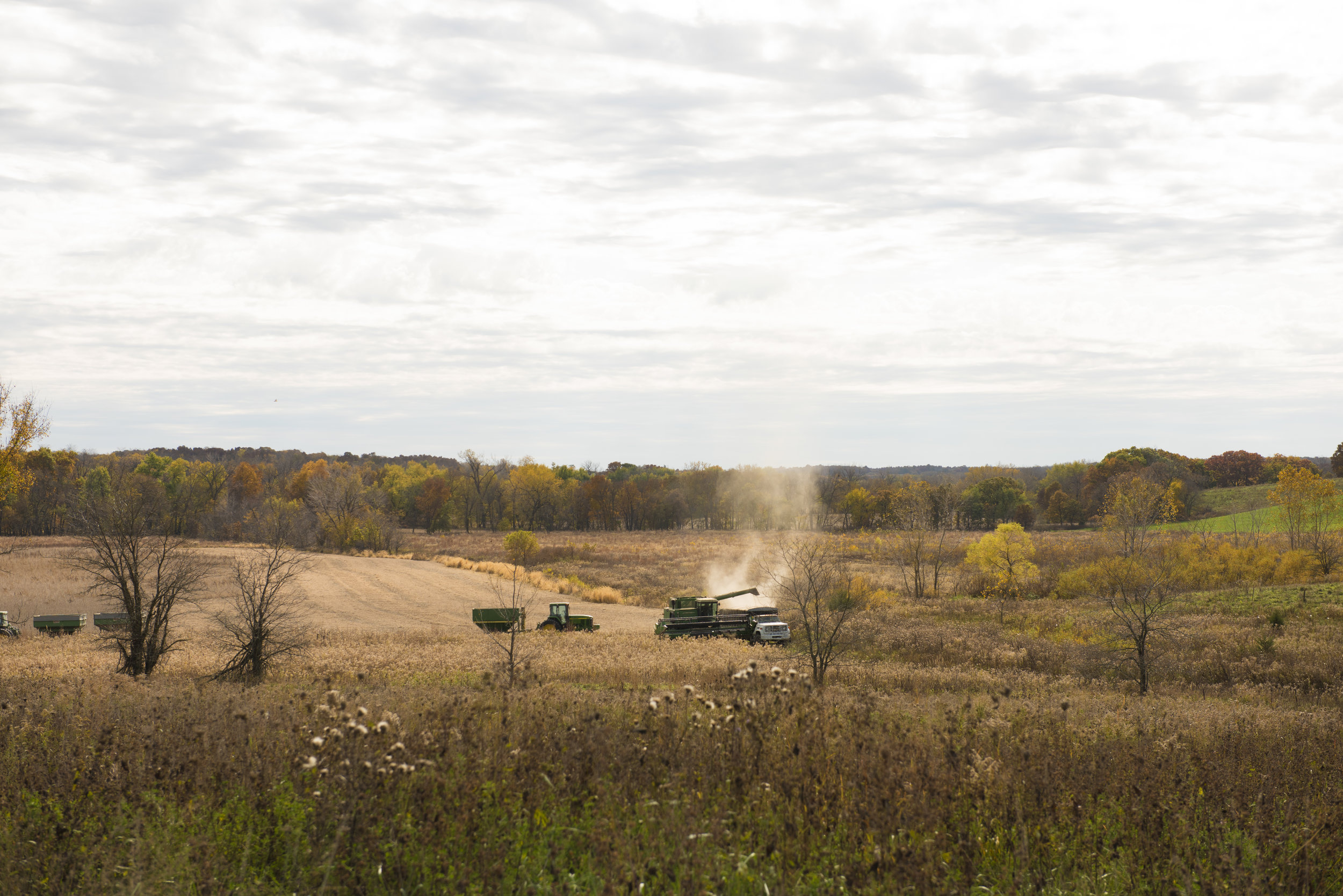 IA Harvest JD Dusty.jpg