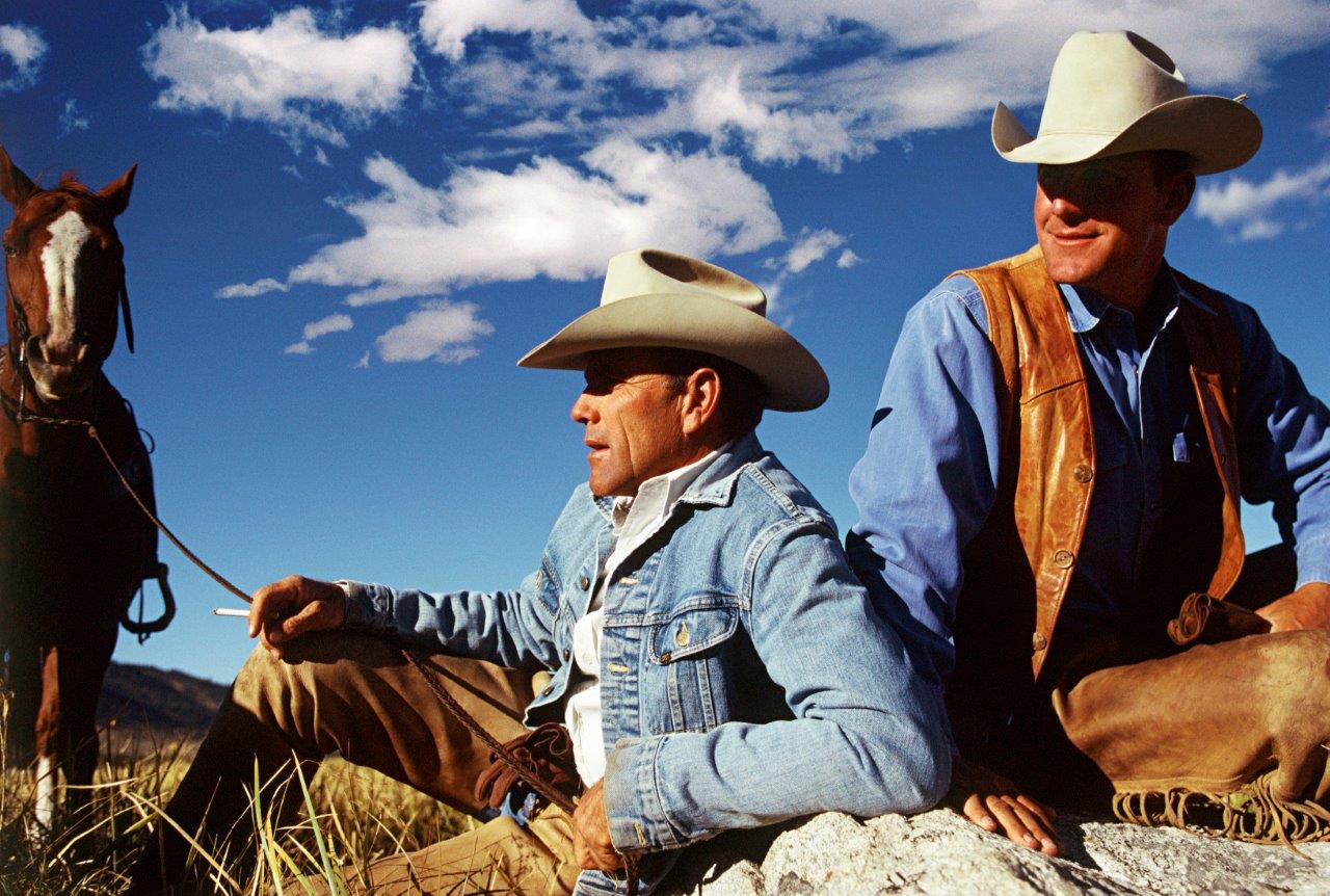 COWBOY 56 184x124 cm (2).jpeg