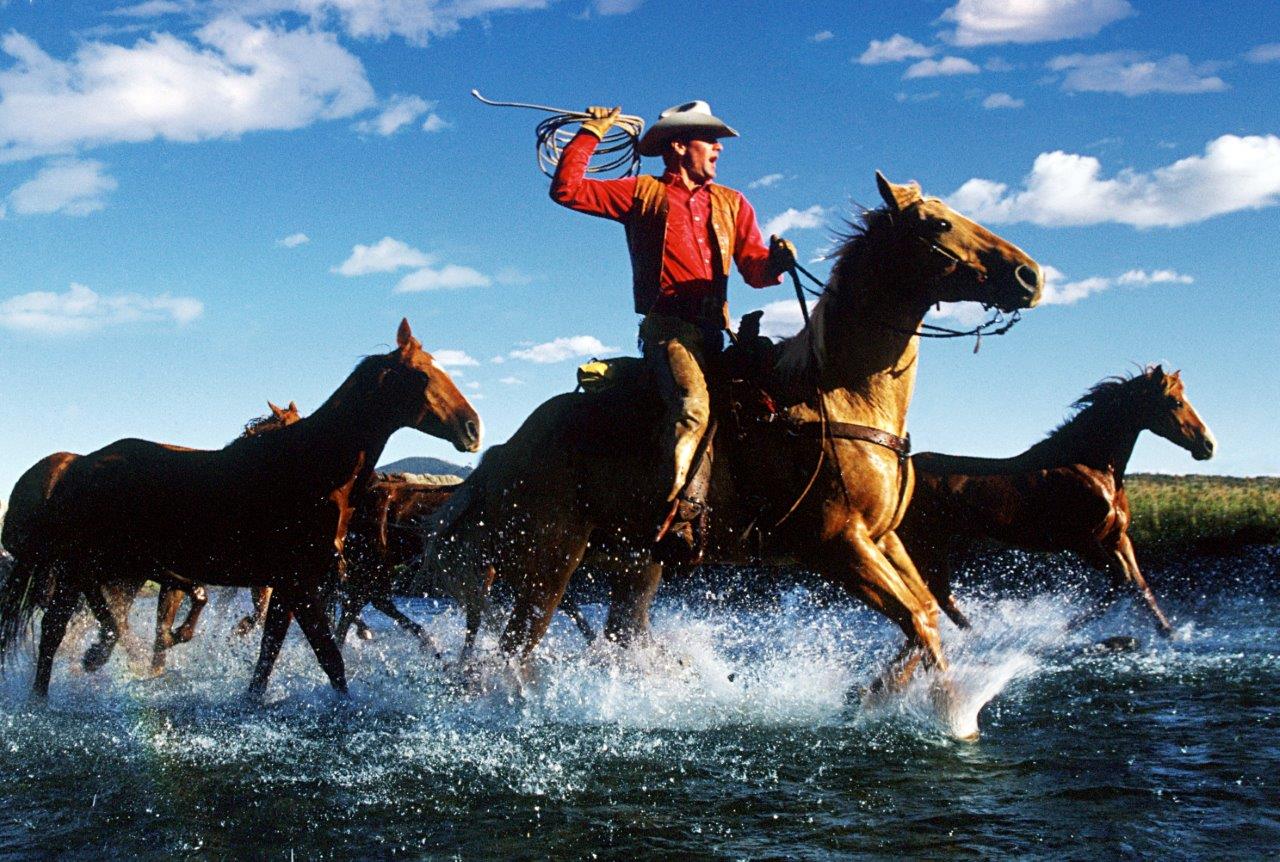 COWBOY 51 184x124 cm 10-59-50-760 (2).jpeg