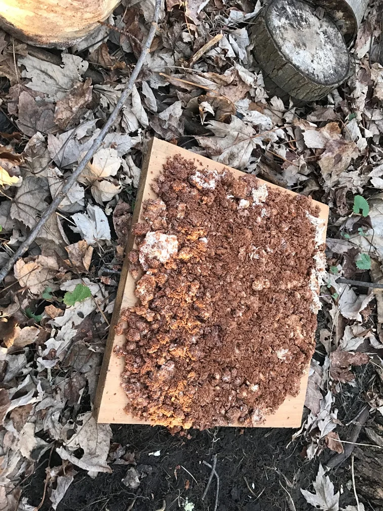 Wood isn't needed. Cardboard works just fine. Or ground.