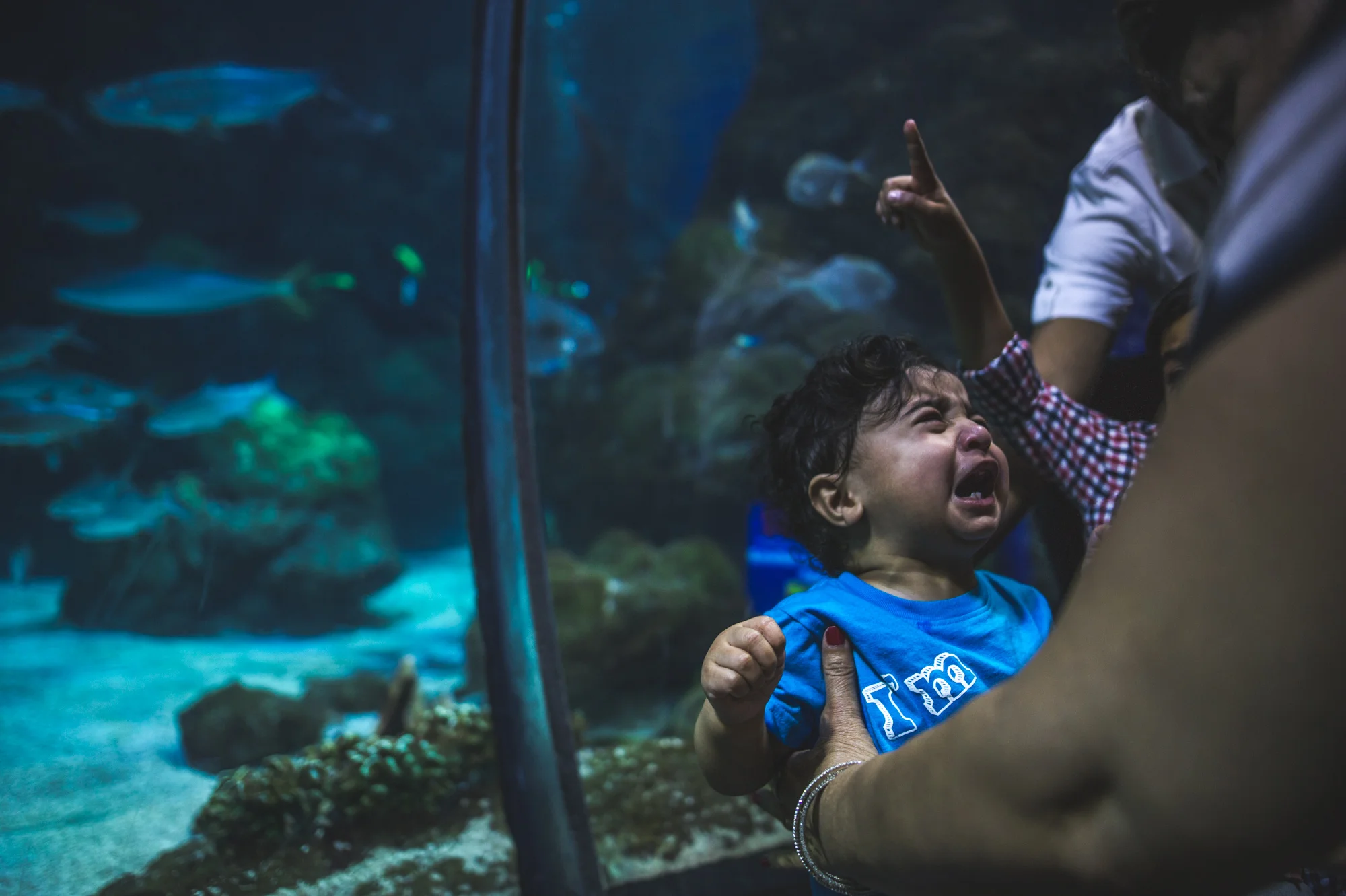Little boy crying in front of a fish tank at the Denver Aquarium while a little boy behind him points up