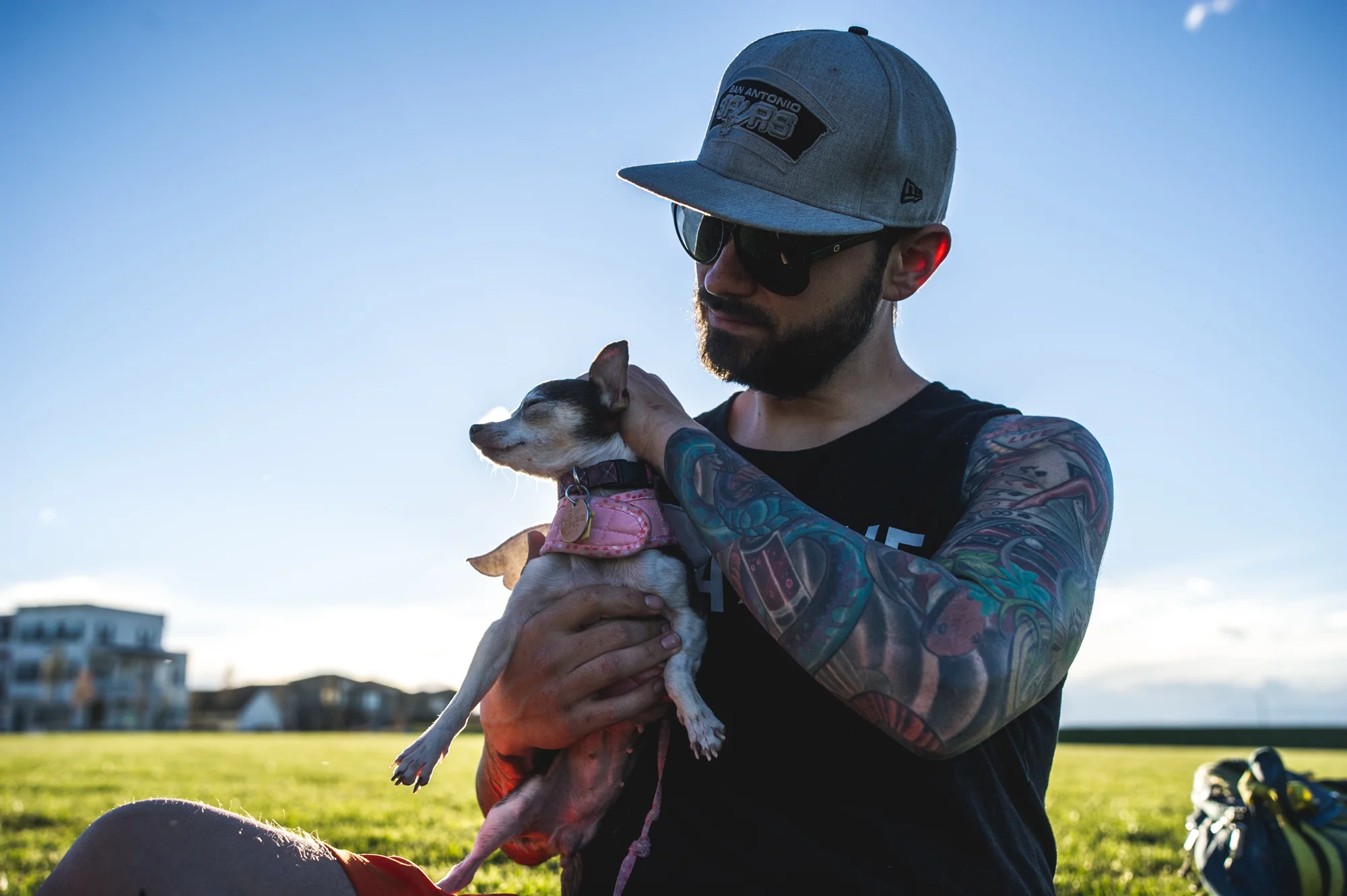 Man holds his pet chihuahua and rubs her head as they sit in a green field in the evening, color, Stapleton, Colorado