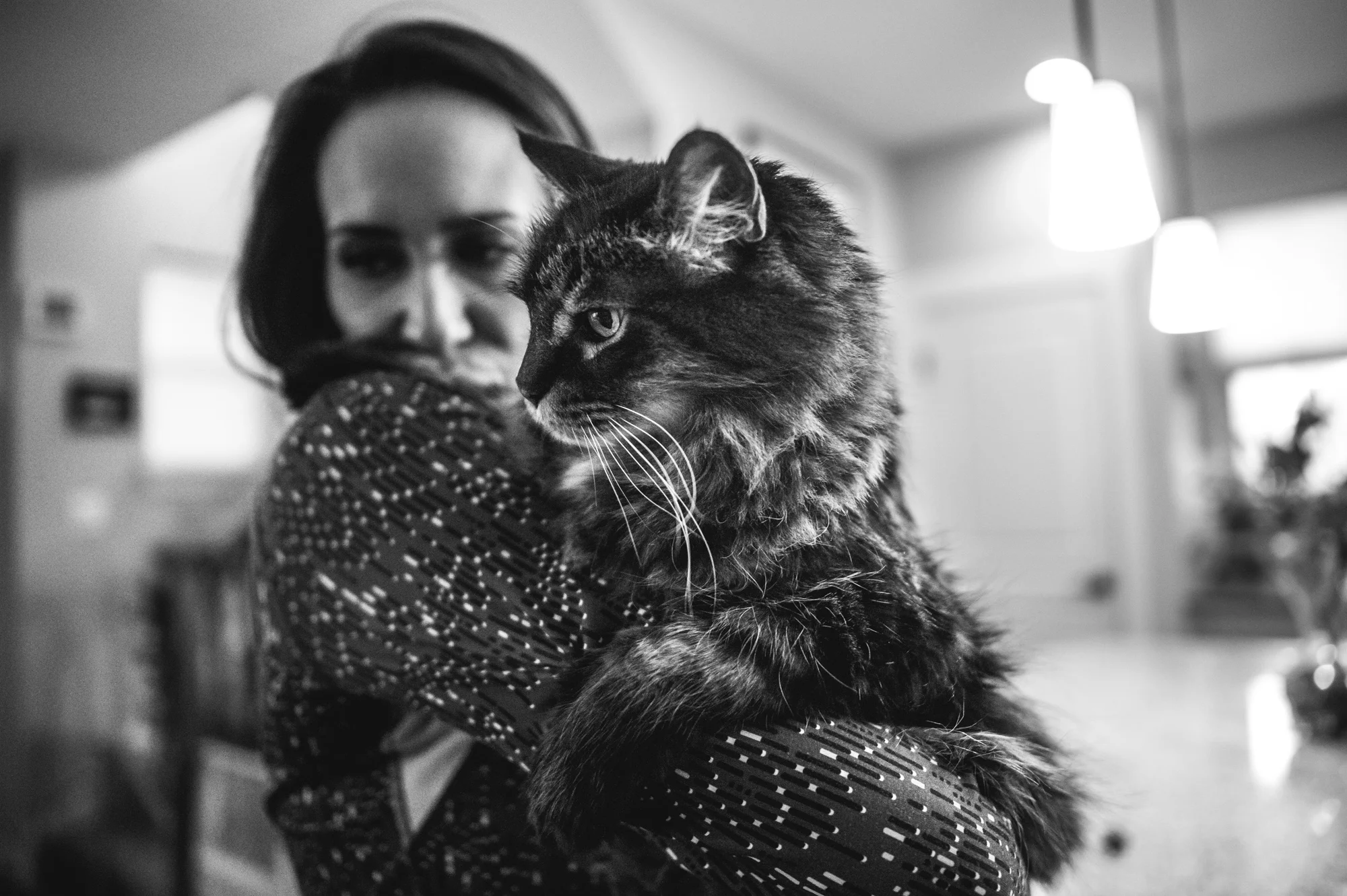 Woman holds her giant Maine Coon cat in their home in Stapleton, Colorado, black and white