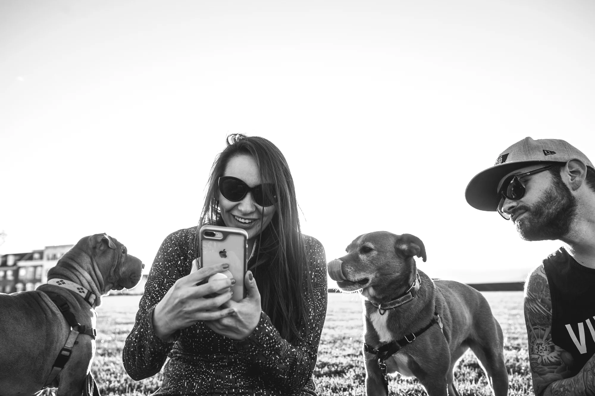 Woman looking at her phone as her dog looks on, licking his lips, and her husband leans over to look as well, black and white, Stapleton, Colorado