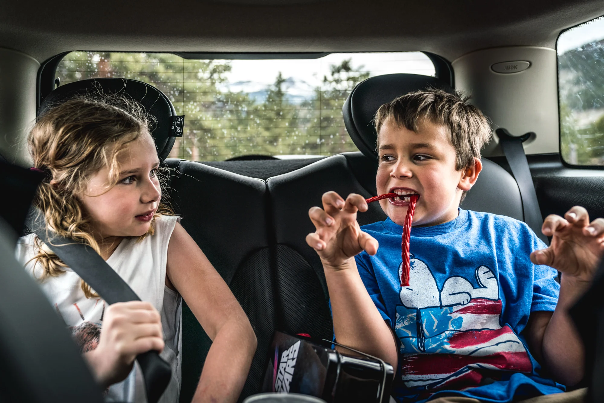 Color photo of a little boy with twizzlers in his mouth like fangs as he growls at his sister who is sitting in the back seat of their car with him.