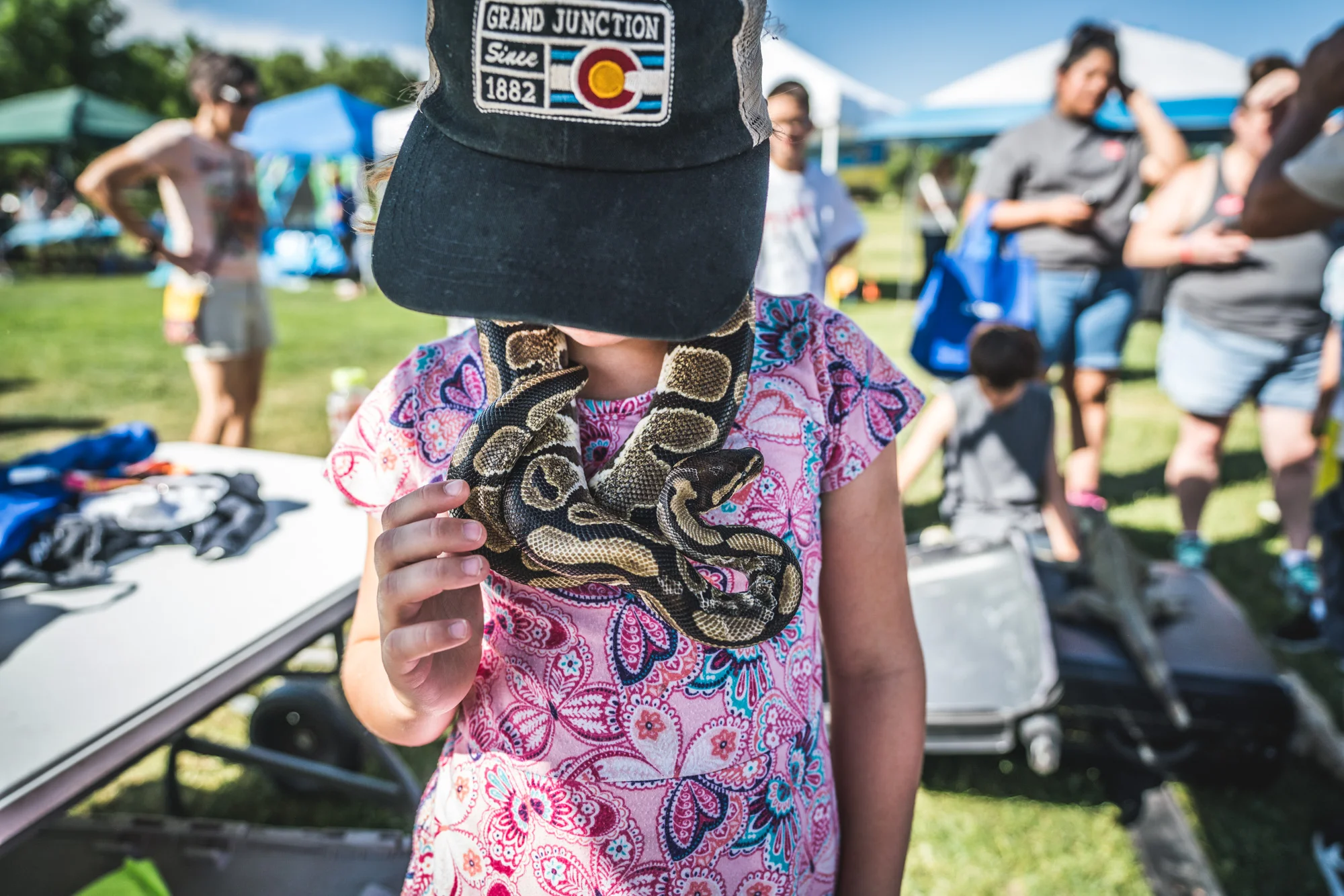 Little girl in a pink shirt and Colorado flag baseball cap wearing a live snake around her neck like a necklace
