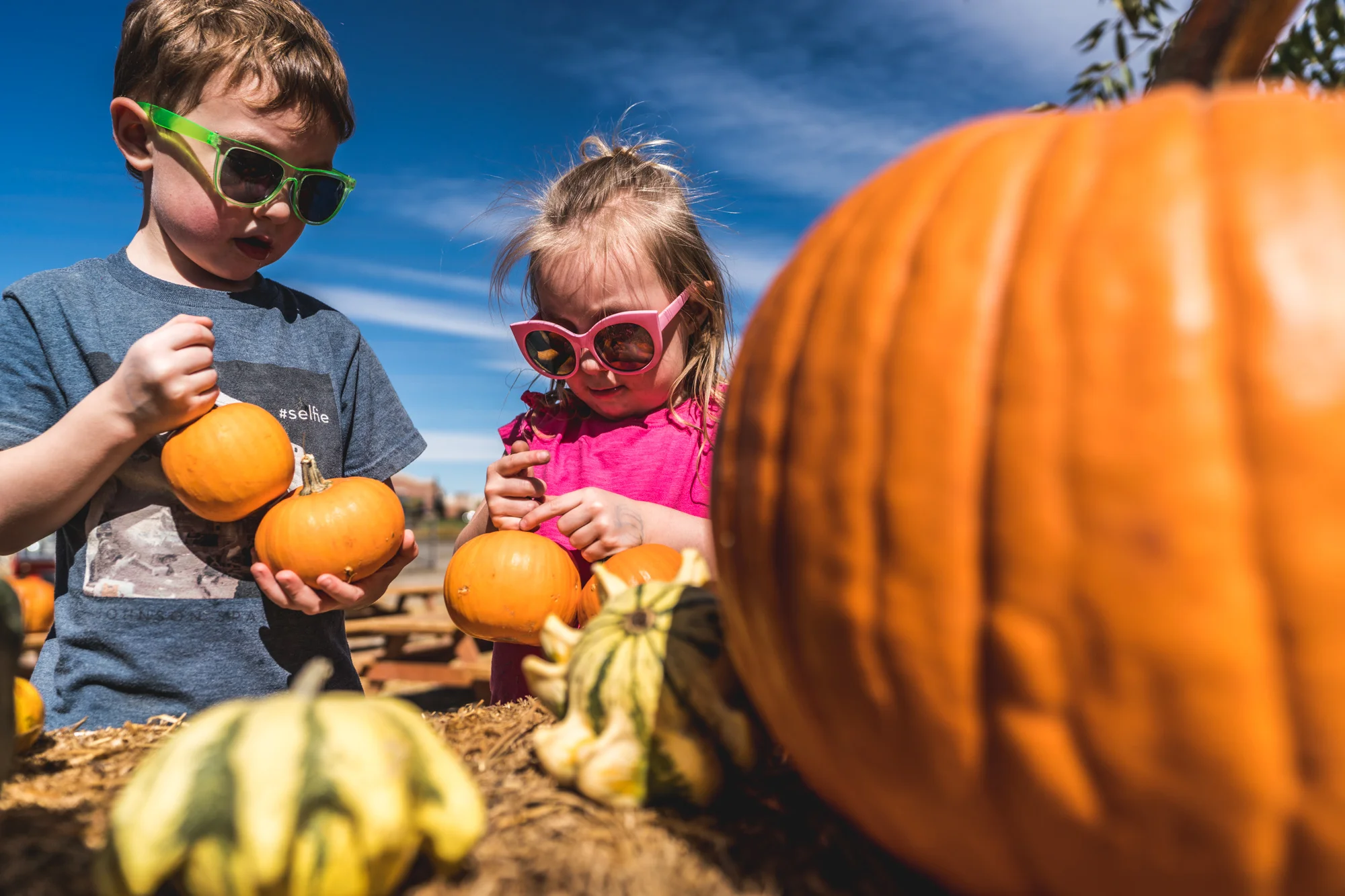 Two small children hold pumpkins at the Flat Acres Farm pumpkin patch in Parker, Colorado during their family photo session