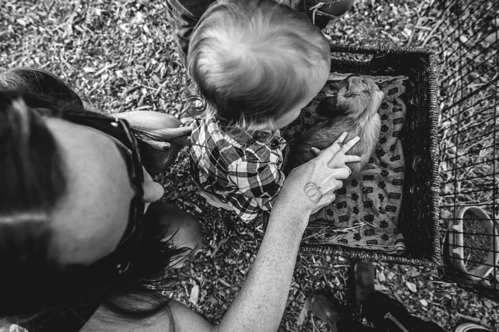 Black and white photo of a mother and daughter petting a rabbit at a petting zoo