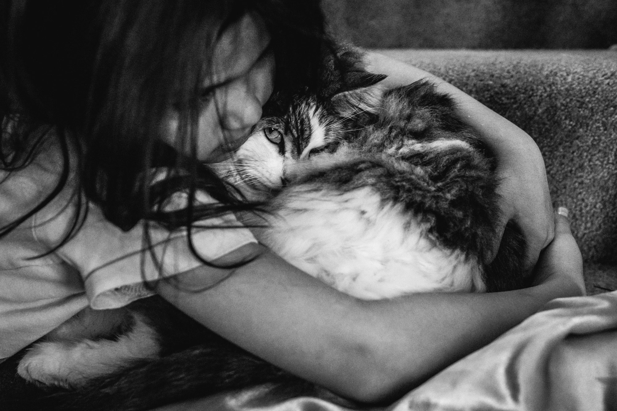 Close up photo of a little girl hugging her pet cat