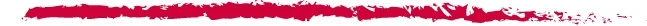 Accompany Logo Line RGB.jpg
