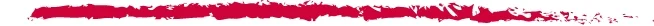 Accompany Logo Line RGB.jpg