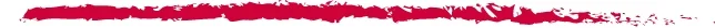 Accompany Logo Line RGB.jpg