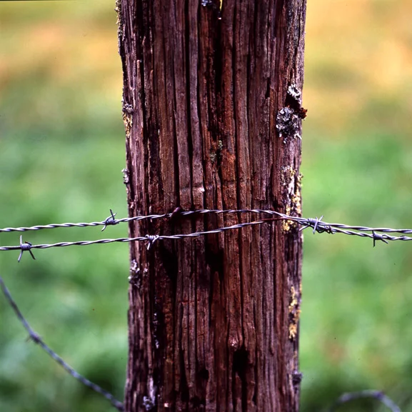 Fence Post