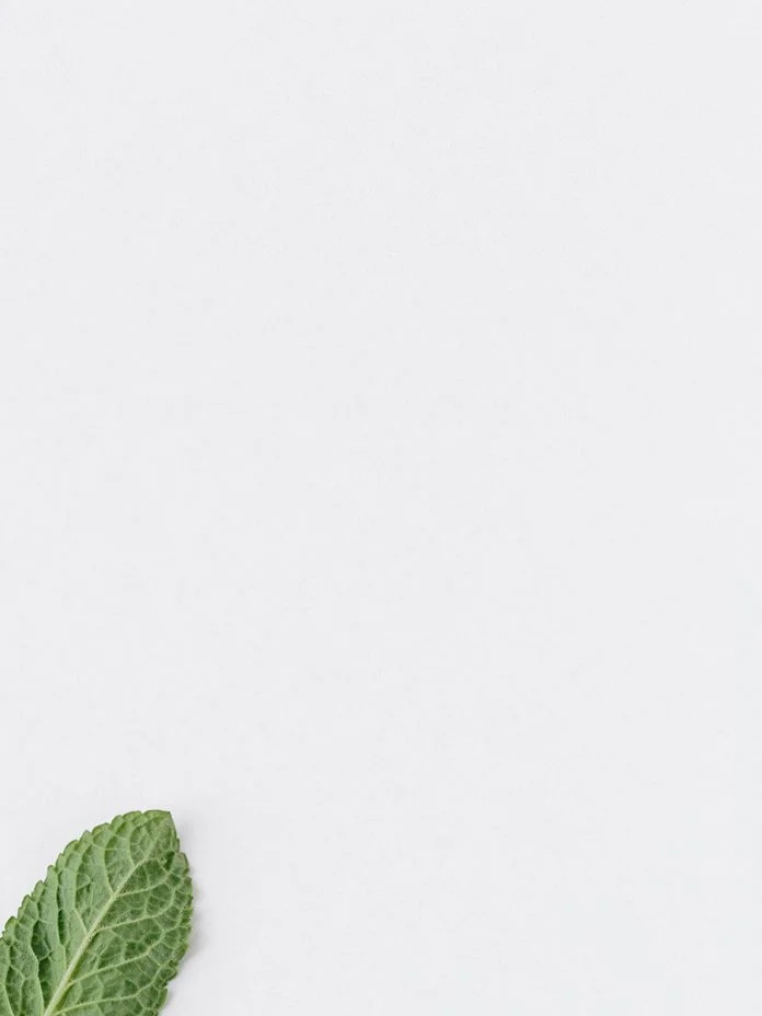 Indoor gardens for the winter. 