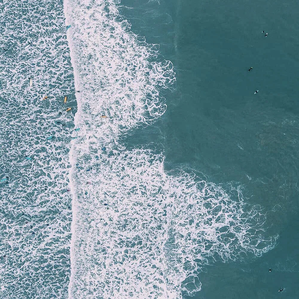 Reconnecting with nature