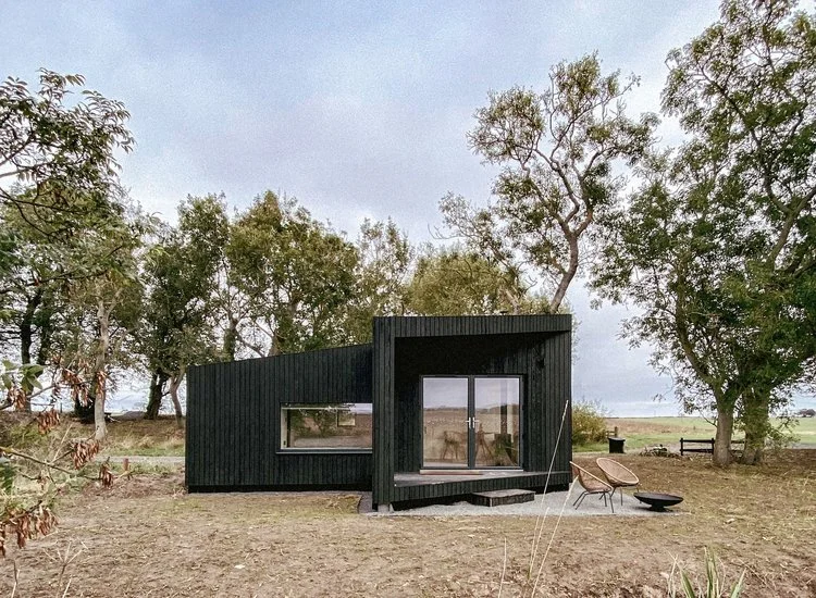 Koto announce their latest partnership with Trees at Tughall