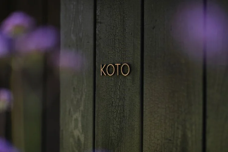 Koto external burnt larch cladding