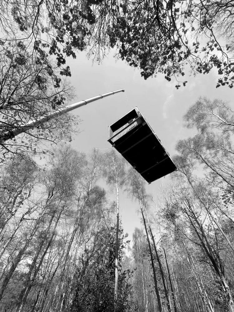 Koto cabins being craned into position