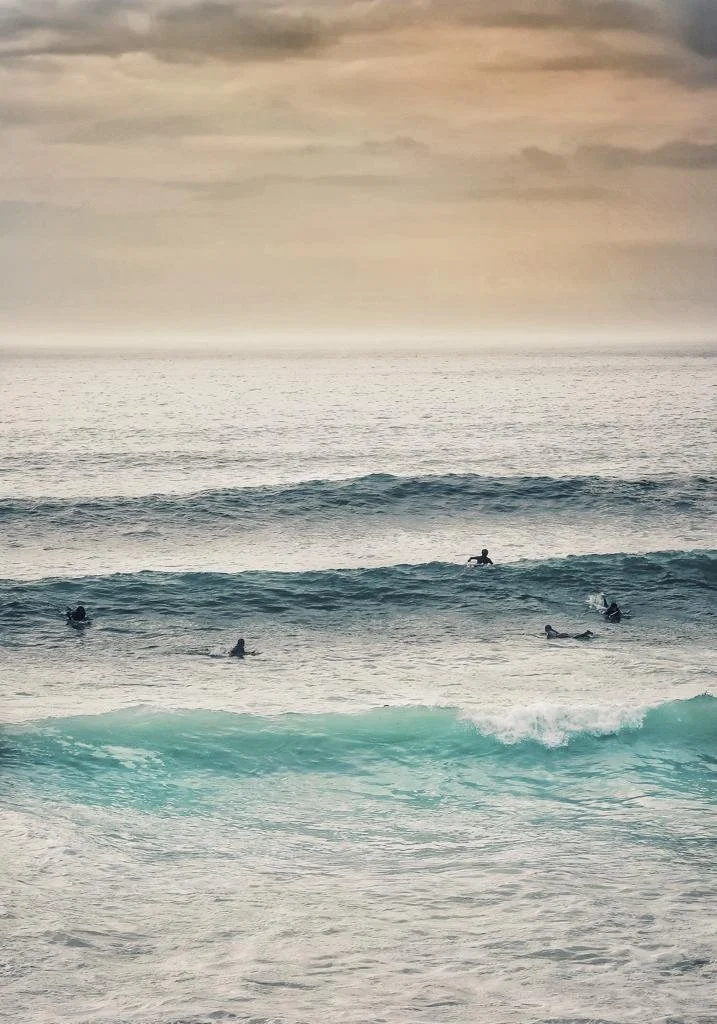 Surfers in the sea