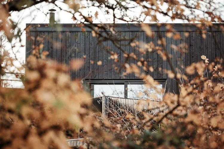 Koto Falcon House behind trees