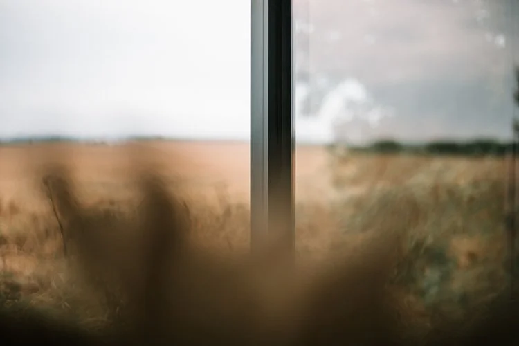 Northumberland countryside landscape