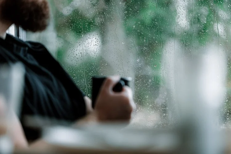 Trees at Tughall hospitality cabins
