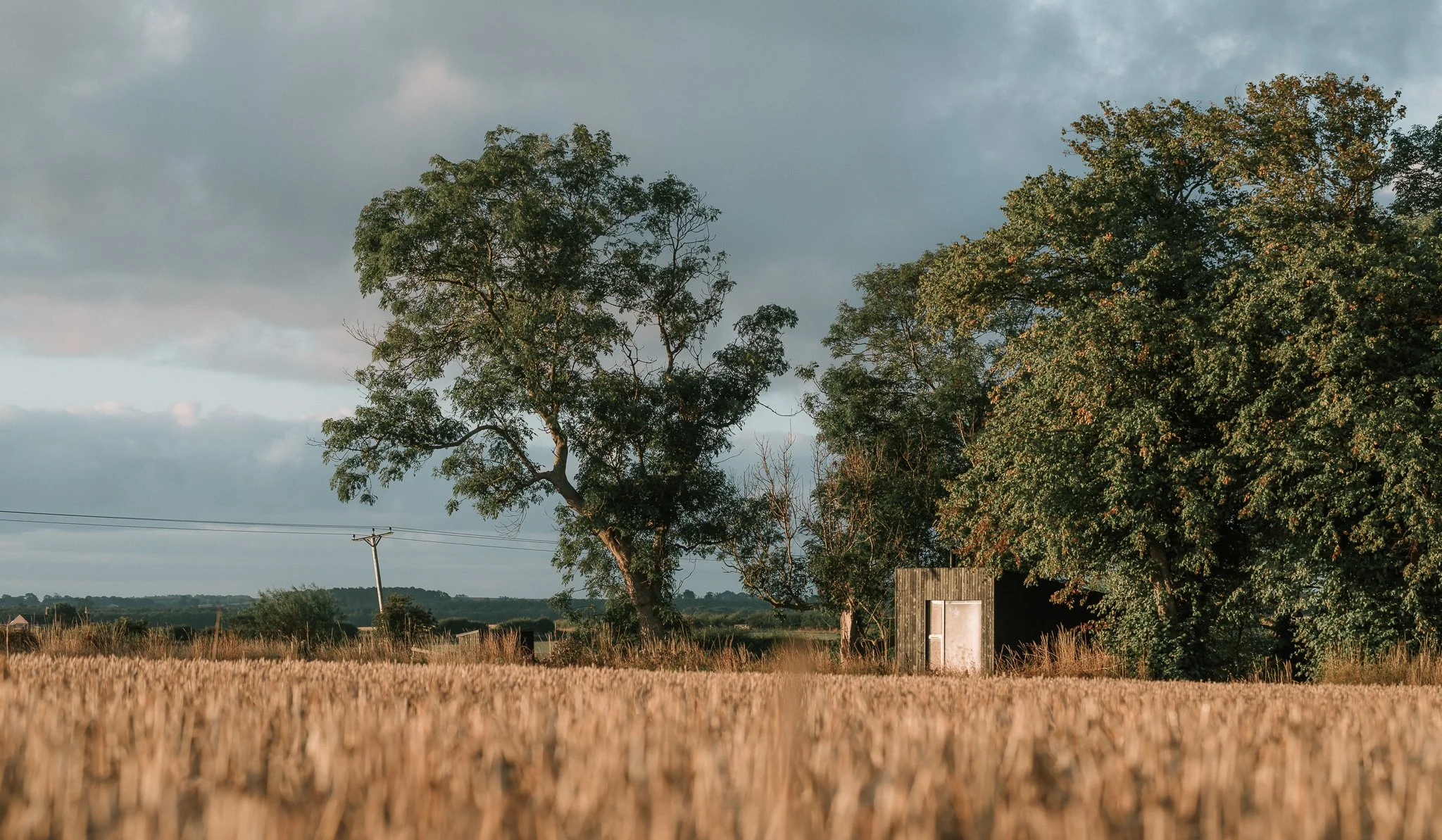 Holiday cabins on farmland