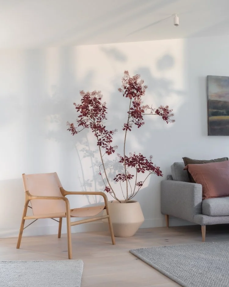 Koto Living living room  interior design