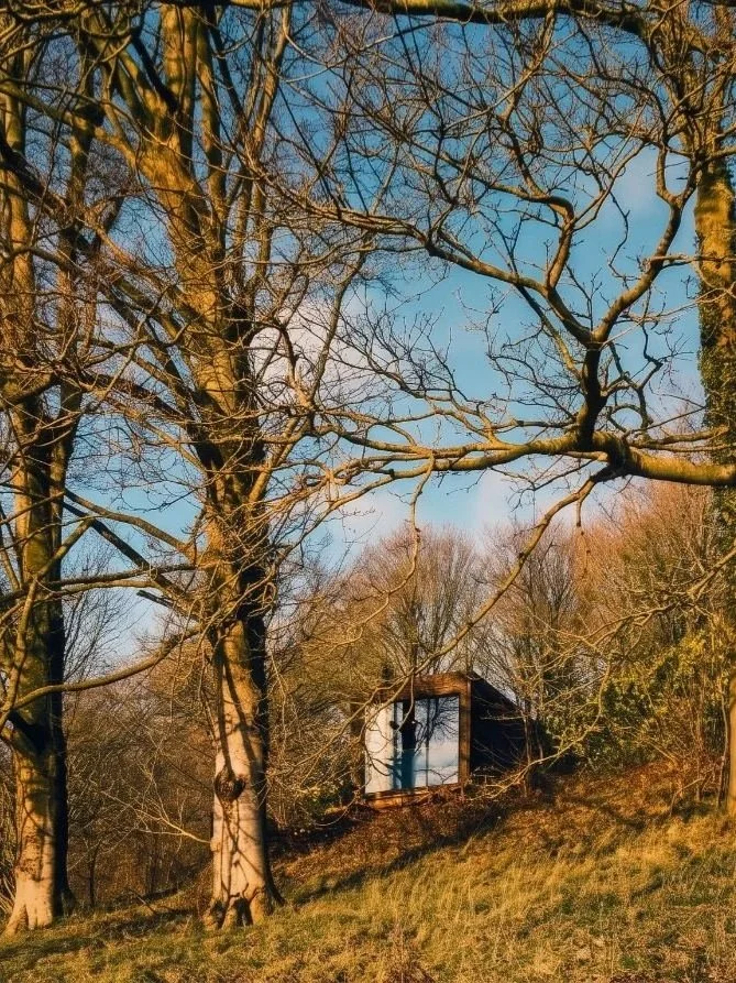 Haku cabin nestled in woodland