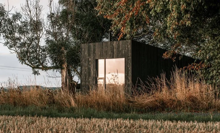 Trees at Tughall exterior