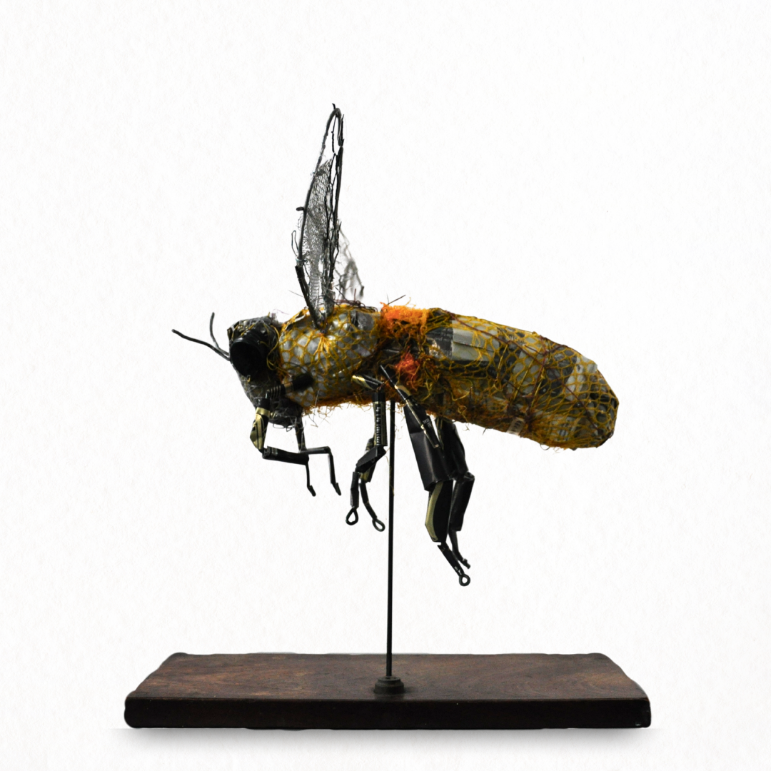 Kevin Herlihy - Studio 211
