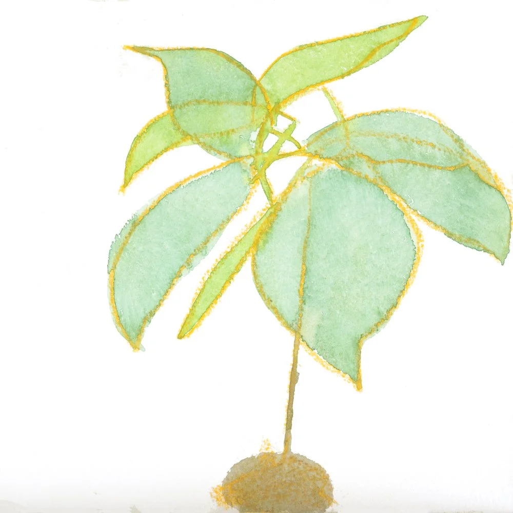 Logo for Wimbledon Art Fair with black background and blue outlined rectangle, containing blue text.