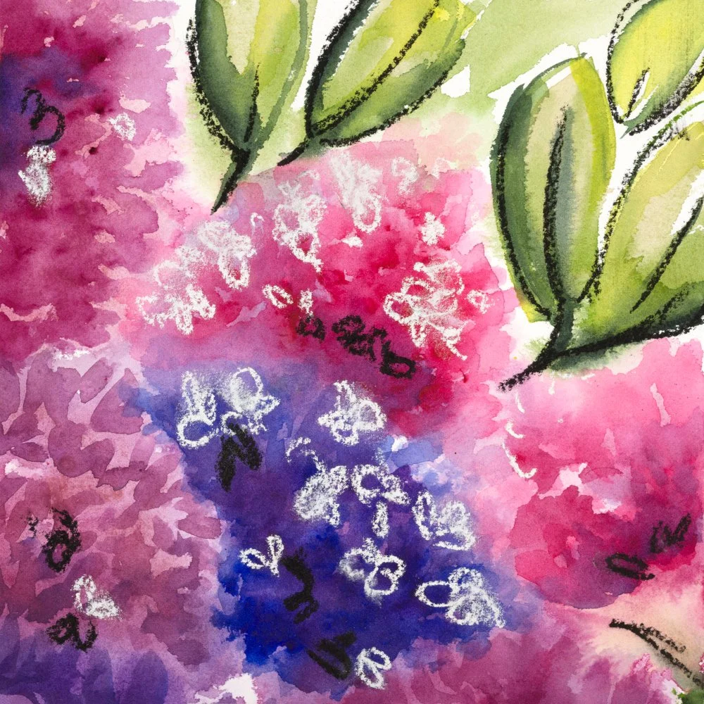AnnaObert Illustration - Studio 288b