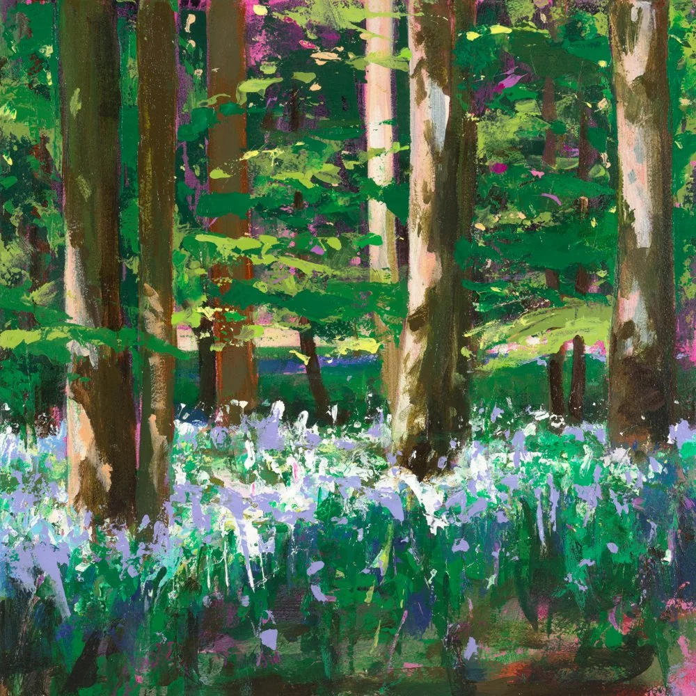 Sarah Ollerenshaw - Studio 252