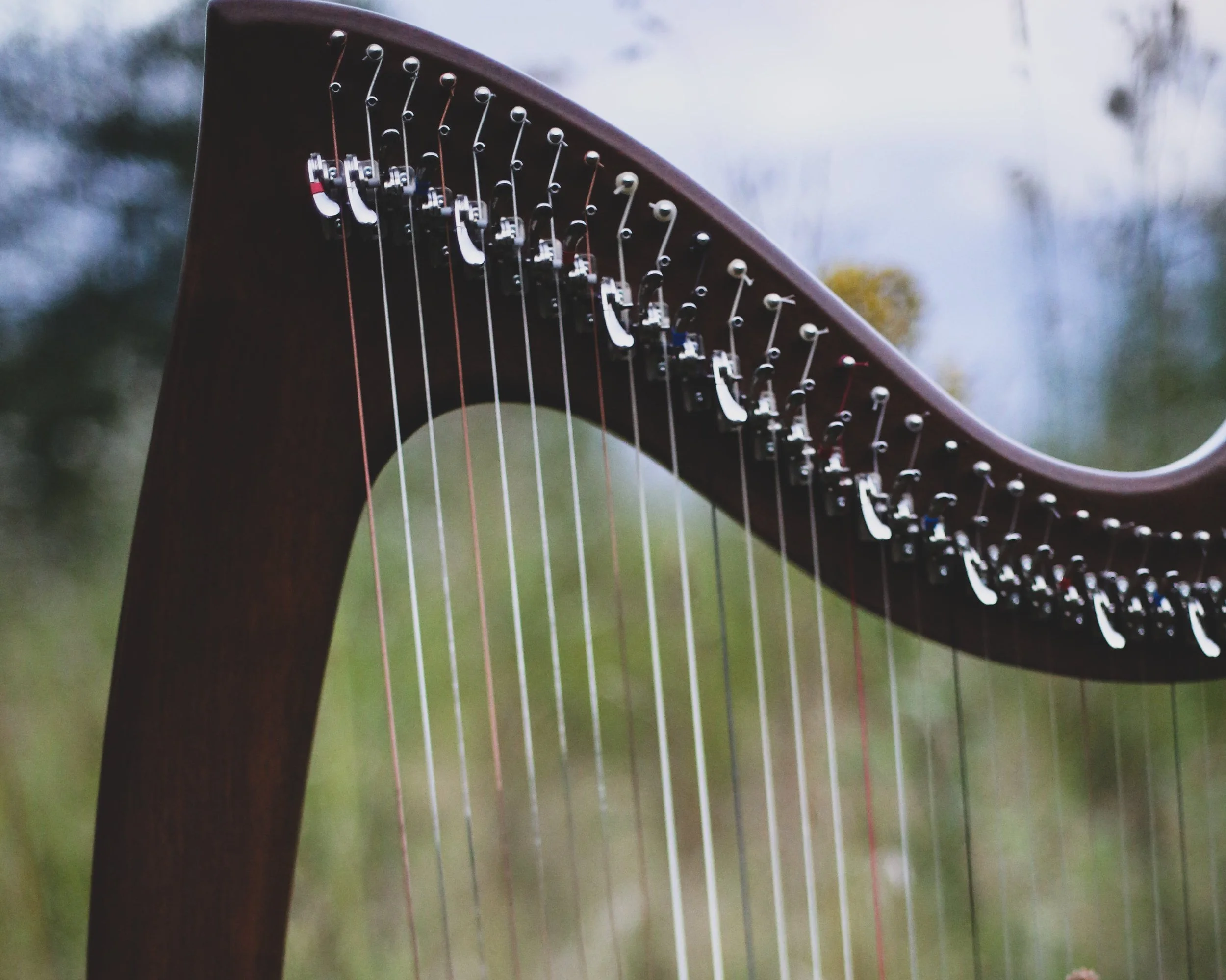 A Teaching Outline for the Book of Psalms