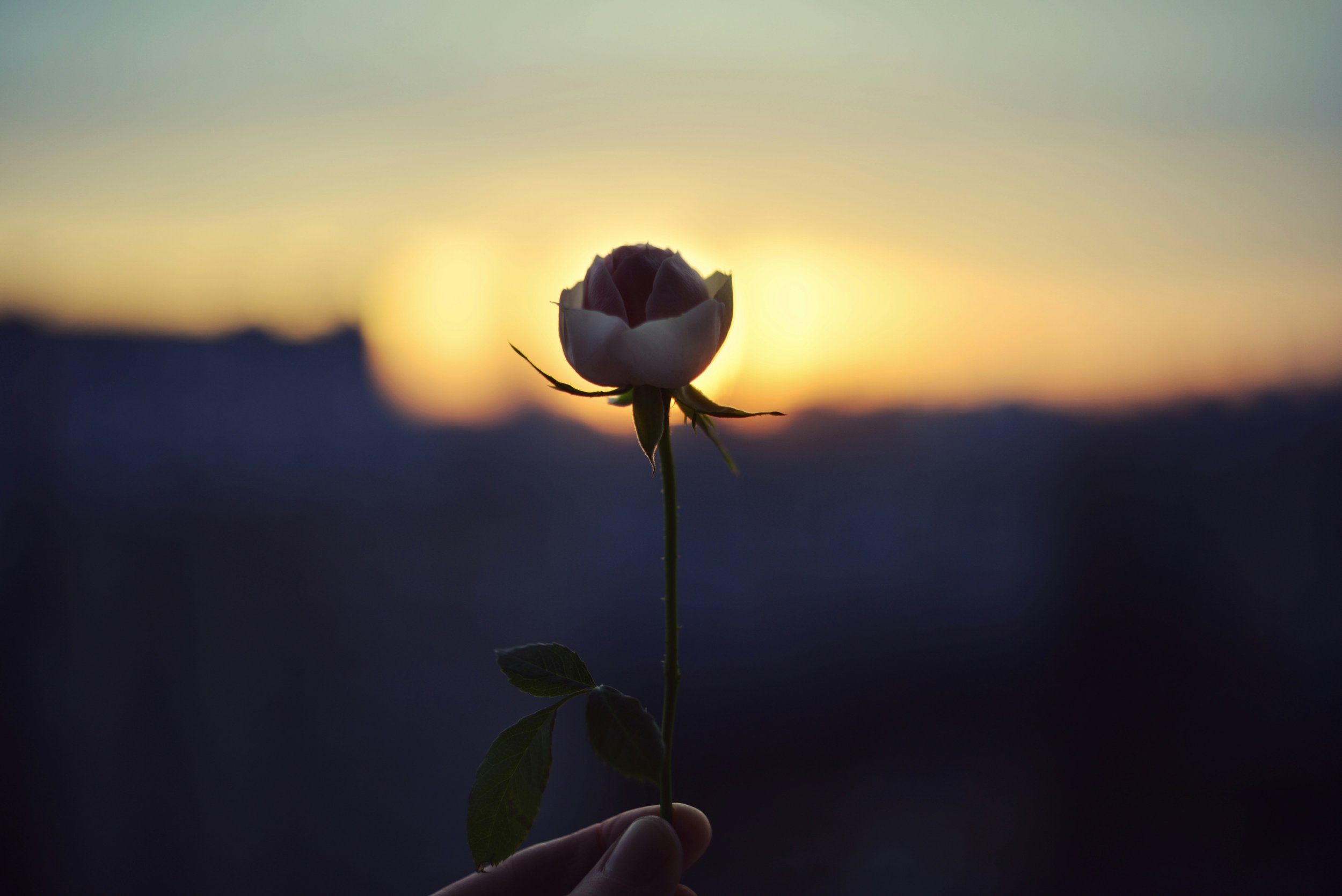 Forming Pure Hearts in an Impure World