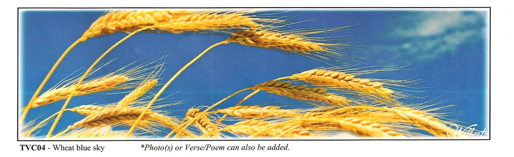 TVC04-Wheat.jpg
