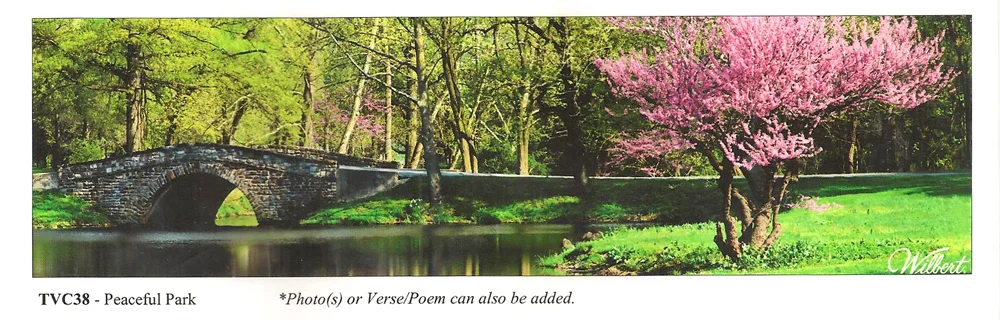 TVC38-PeacefulPark.jpg