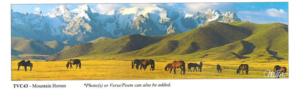 TVC43-MountainHorses.jpg