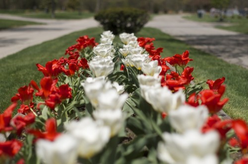 Veterans-Memorial-Tower-06.jpg