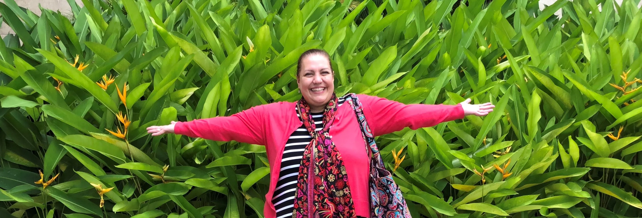 Lue Panama Paradise.jpg