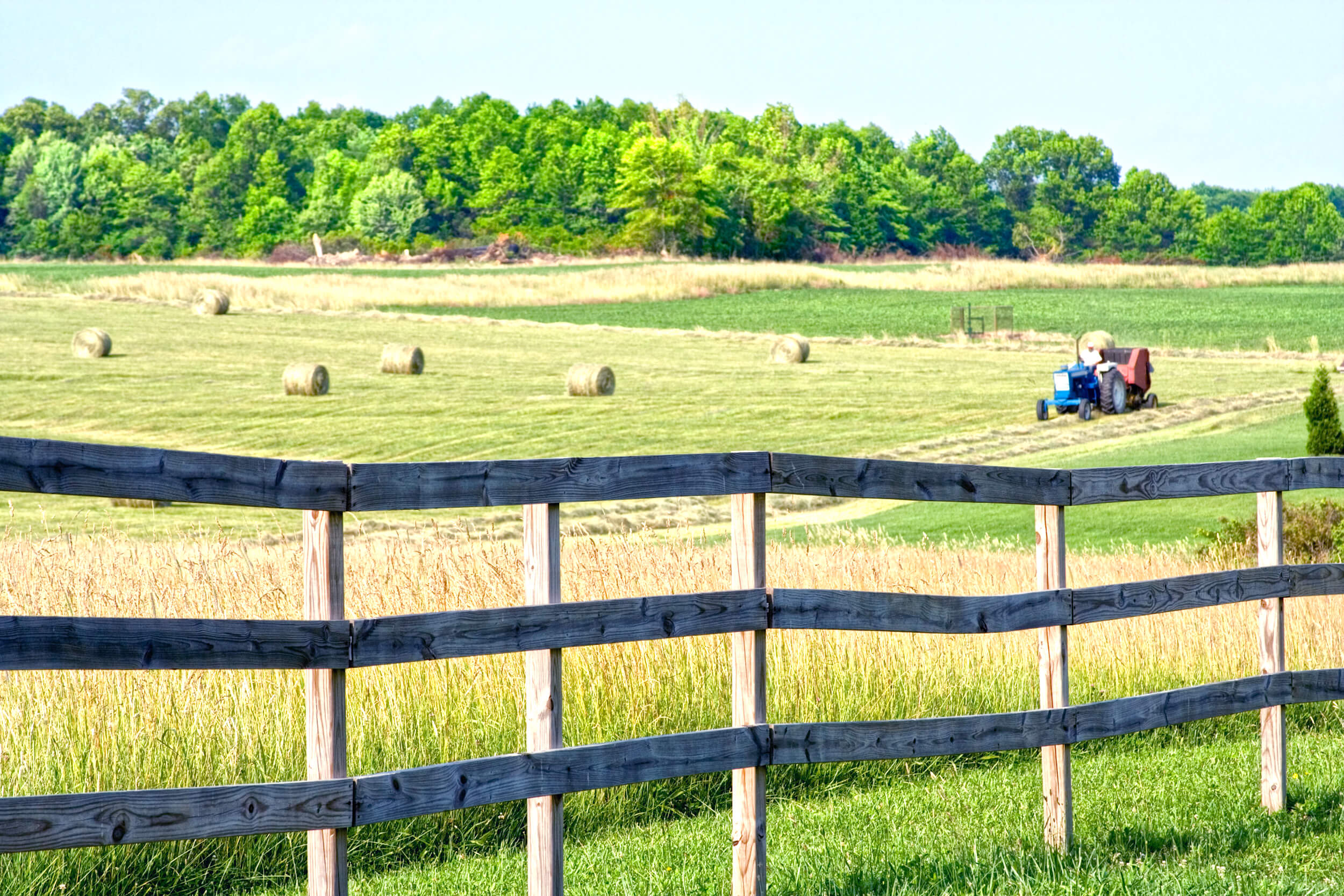 Bauer Hay and Straw-banner.jpg