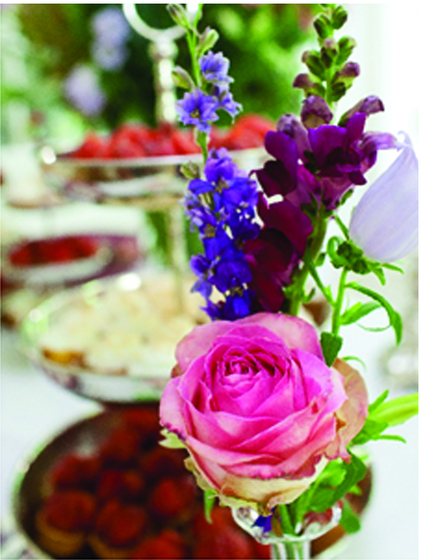 A little bloom can brighten your day!