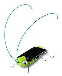 Solar-Powered Bug Kit, Ages 10 & Up, purchase it here Learn about solar technology with the Solar-Powered Bug Kit! Powered by the sun or a non-fluorescent light, this grasshopper-sized robot wiggles and lights up when charged. The perfect gift to teach your technology enthusiast about alternative energy sources.