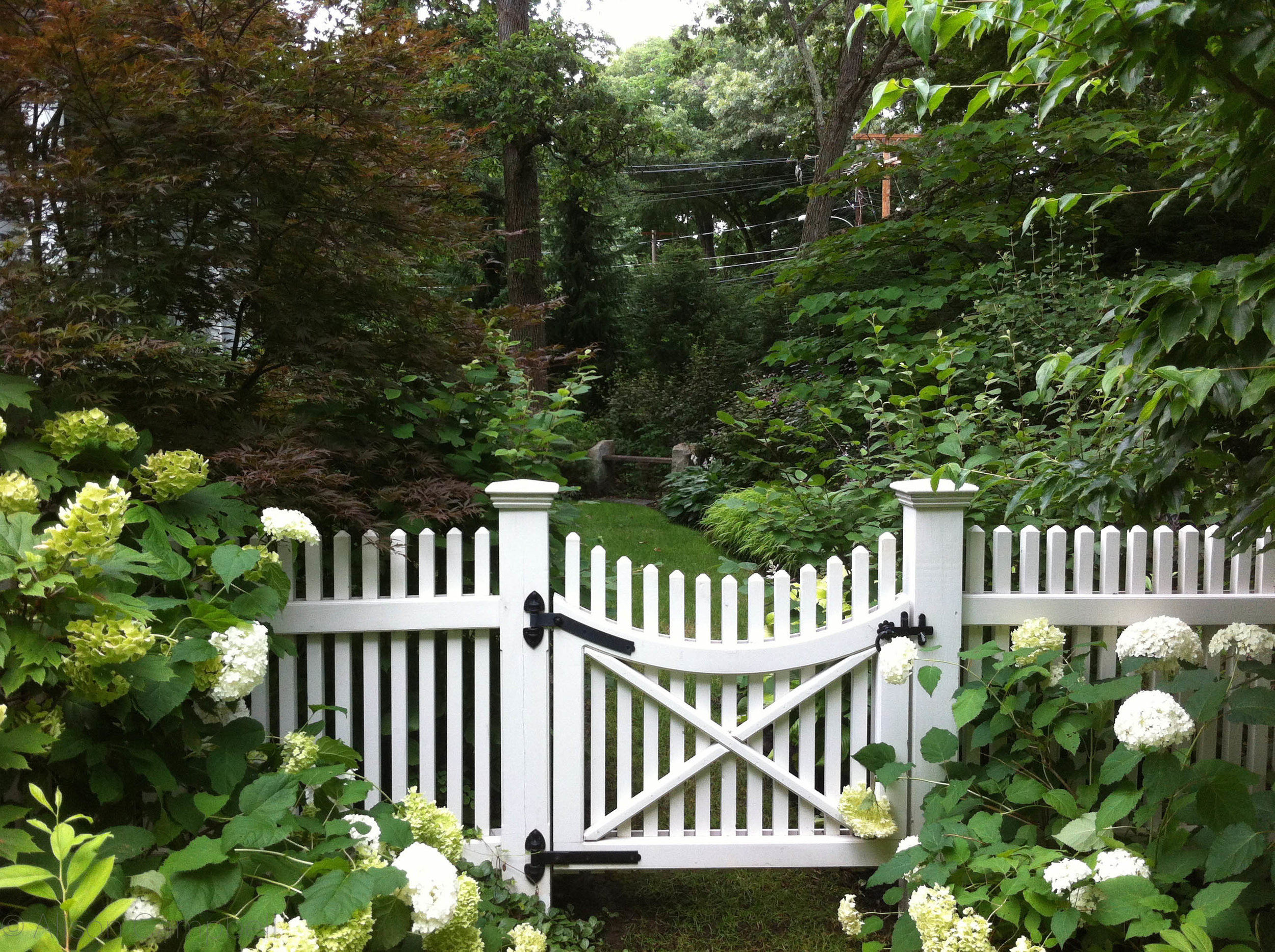 lush gate garden.jpg