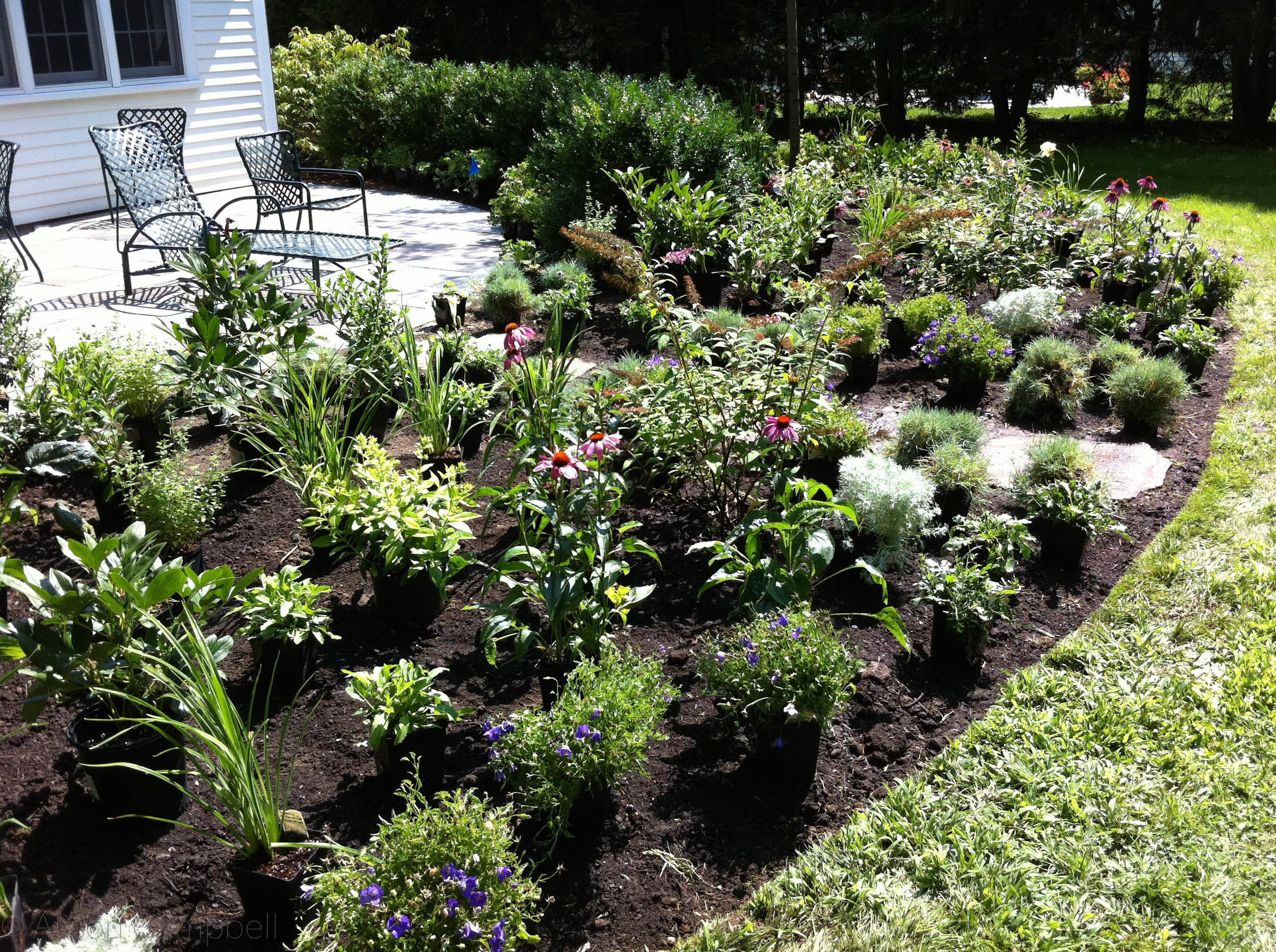 perennial garden install.jpg
