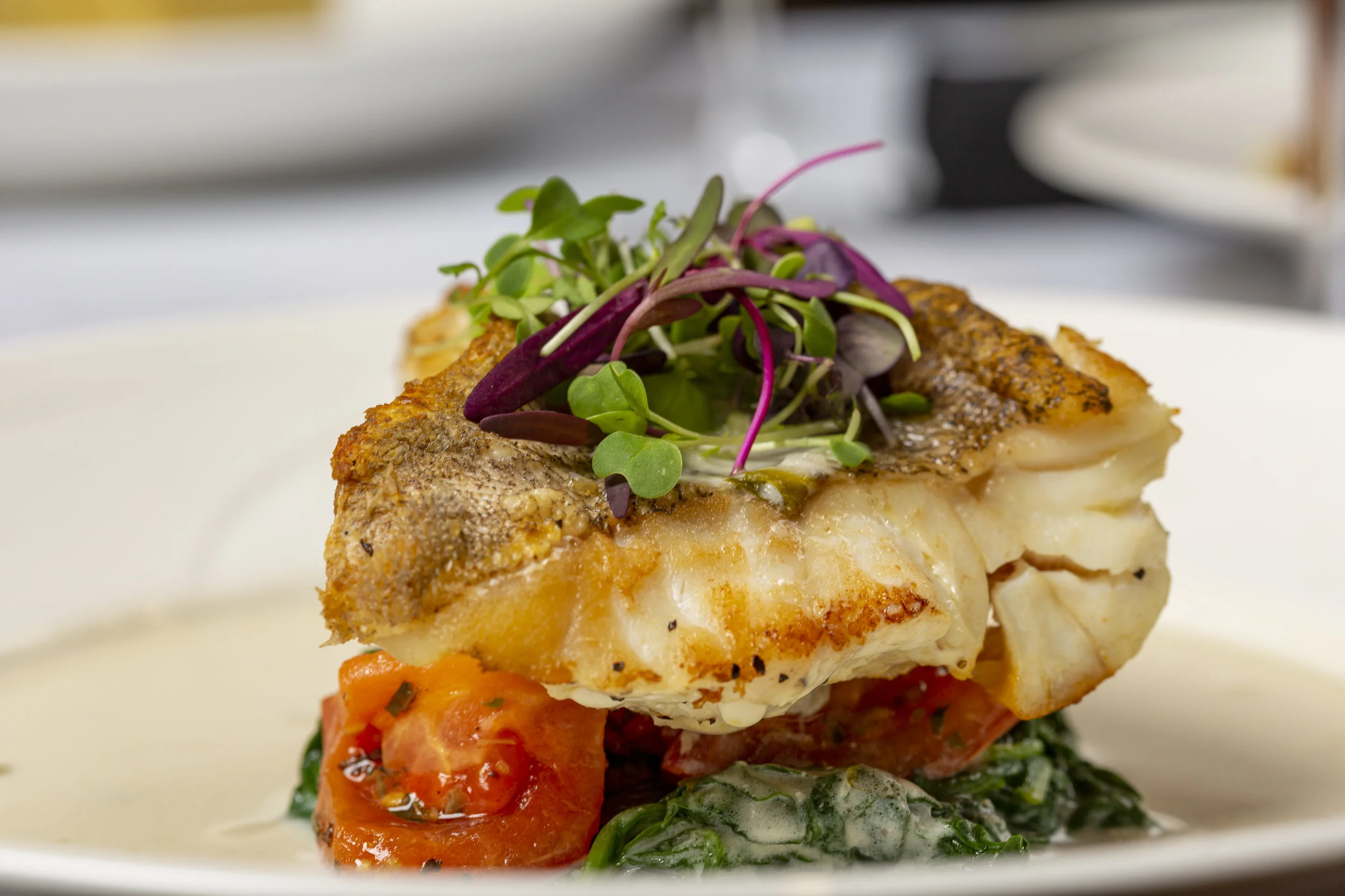 Florentine Grouper