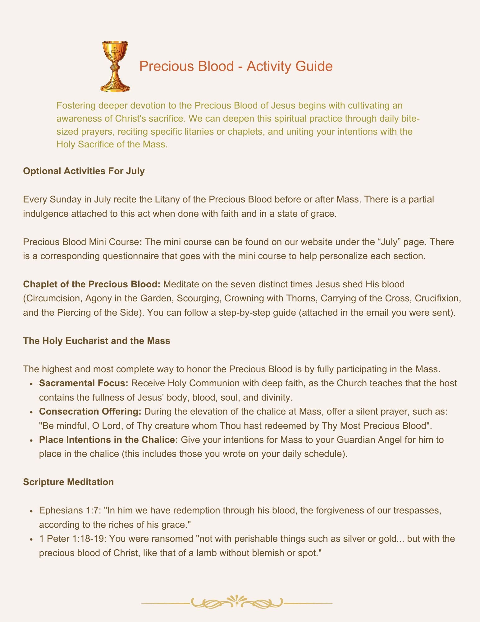 3 and 30 Binder Precious Blood activity guide b.jpg